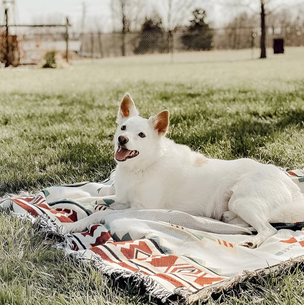 Bohemian Chic Picnic Mat