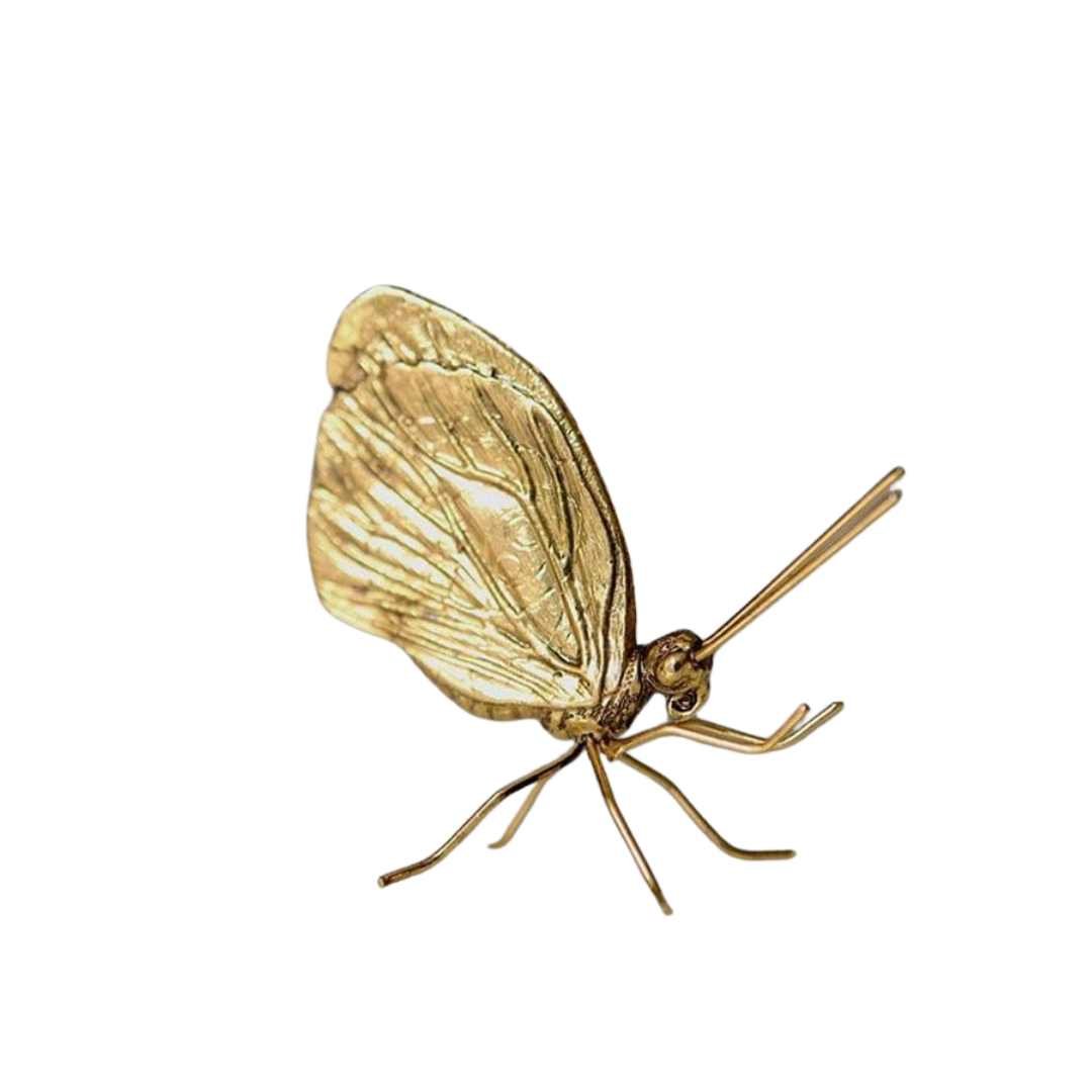 Hommfer - Décoration Nordique Insectes Résine