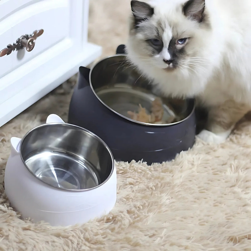 Plato para alimentación de mascotas PurrfectAngle