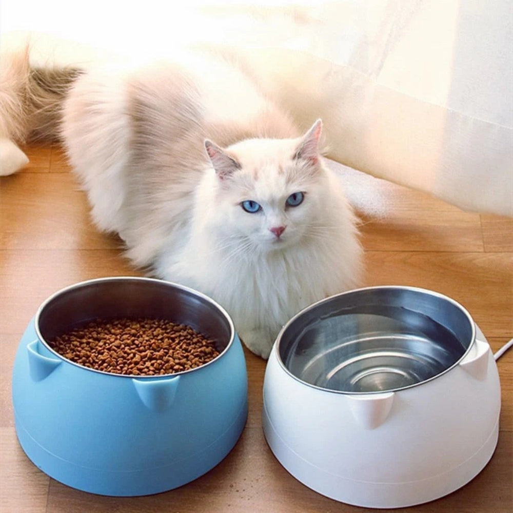 Plato para alimentación de mascotas PurrfectAngle
