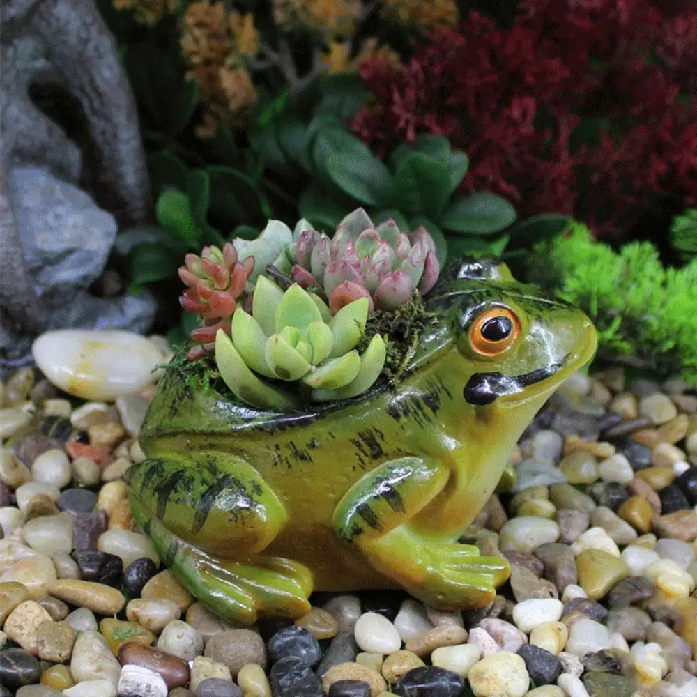 Roztomilý květináč s dýcháním - FroggyPot