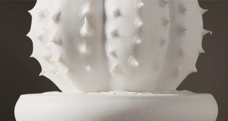 Hommfer – Collection de Cactus en Porcelaine Blanche