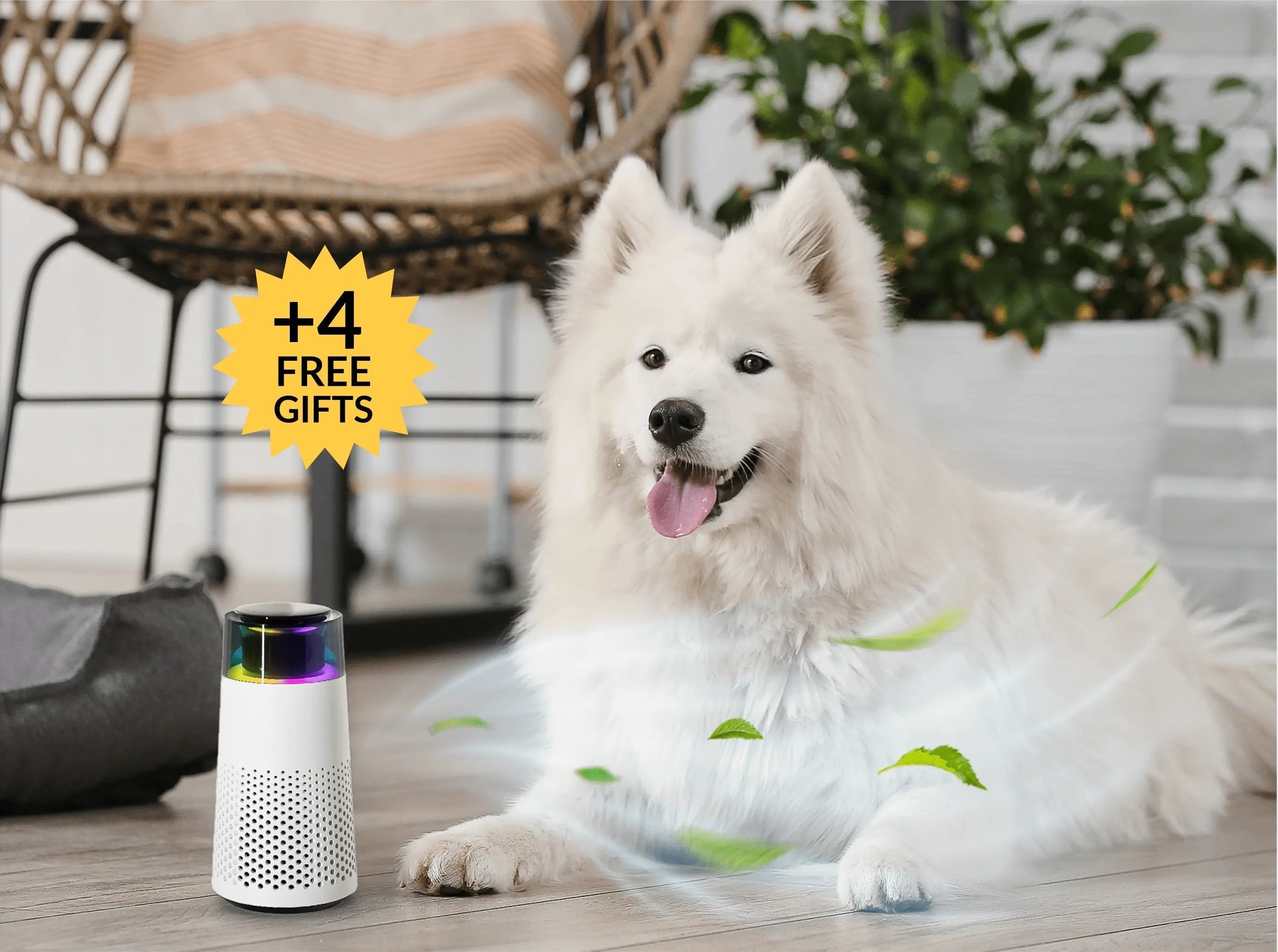 Zvlhčovač vzduchu proti zápachu zvířat – PetFresh