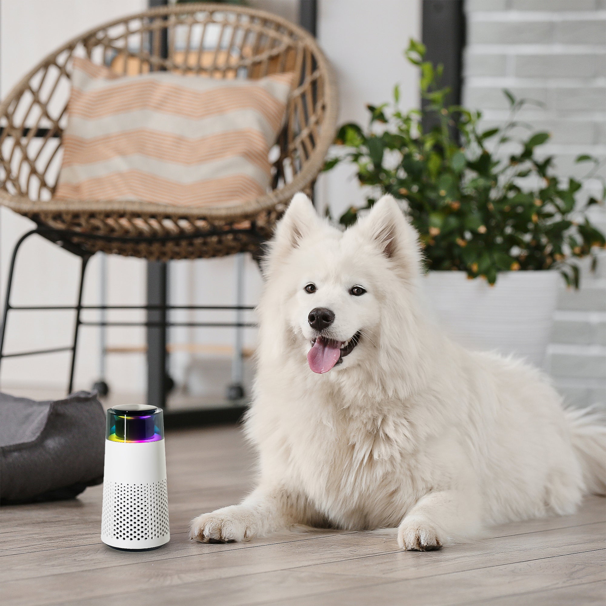 Zvlhčovač vzduchu proti zápachu zvířat – PetFresh