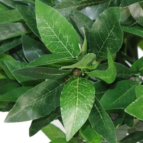 Artificial Bay Tree Topiary – Realistic Foliage with Twisted Stem or Classic Design